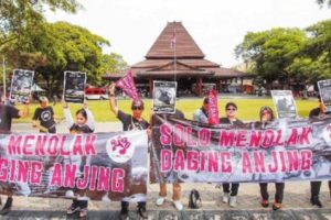 Kampanye Tolak Perdagangan Daging Anjing Digelar di Solo