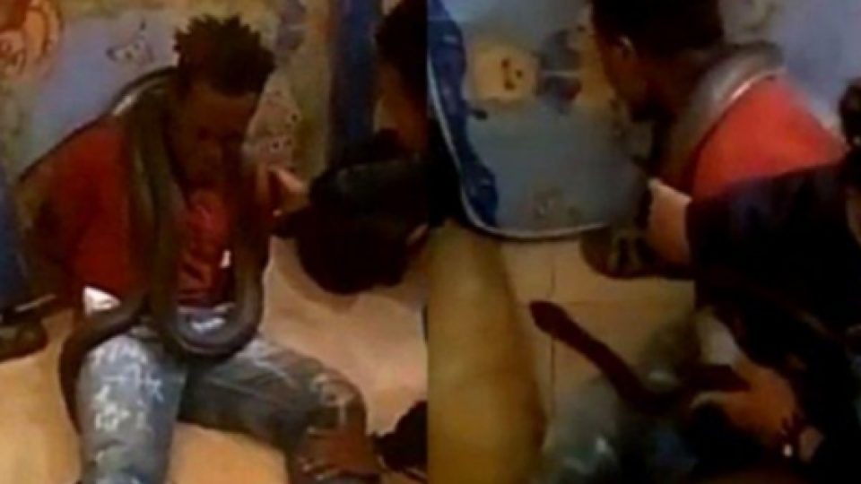 Viral Penggunaan Ular Untuk Interogasi Oleh Kepolisian di Papua