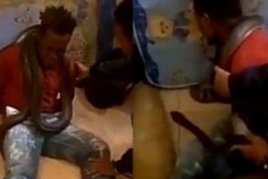 Viral Penggunaan Ular Untuk Interogasi Oleh Kepolisian di Papua