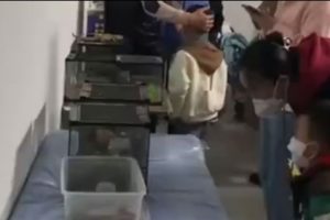 Orang Tua Di Ningxia China Terkena Penipuan Oceanarium Ternyata Akuarium Rumahan