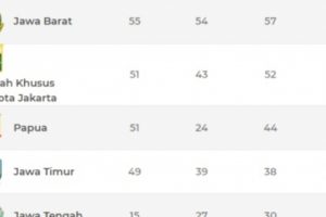 Jabar Pimpin Klasemen Medali PON XX Papua 2021, Jatim Dominasi Cabor Selam Kolam