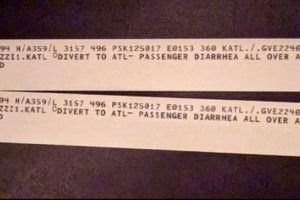 Penerbangan Delta Air Lines Balik Arah Karena Kotoran Diare Penumpang