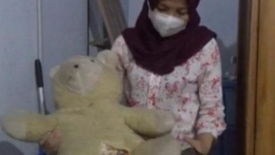 Pelaku Teror Pencurian Pakaian Dalam Wanita di Banyuwangi Tertangkap, Diduga Juga Gauli Boneka