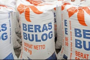 Presiden Jokowi SIndir Bulog Tak Bisa Jual Beras Hingga Kualitas Menurun Hingga Membusuk dan Rusak