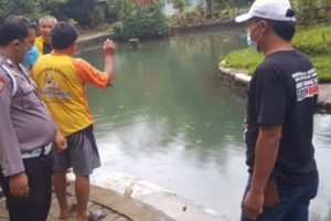 Bikin Konten Live Streaming, Remaja 18 Tahun Jatuh ke Kolam Saat Berjalan Mundur dan Tewas Tenggelam