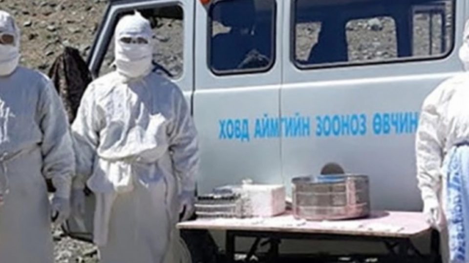 Mongolia Karantina Wilayah Perbatasannya dengan Rusia Setelah 2 Kakak Beradik Terjangkit Bubonic Plague