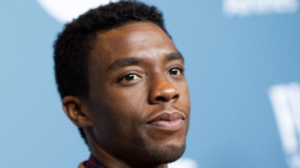 Pemeran King T'Challa Dalam Black Panther Meninggal di Usia 43 Tahun
