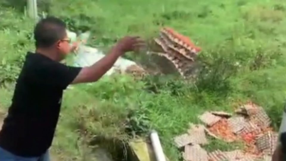 Viral Peternak Buang Telur Karena Frustasi, Banjir Kecaman Netizen Hingga Bikin Klarifikasi
