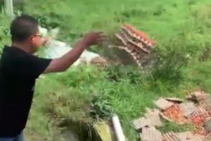 Viral Peternak Buang Telur Karena Frustasi, Banjir Kecaman Netizen Hingga Bikin Klarifikasi