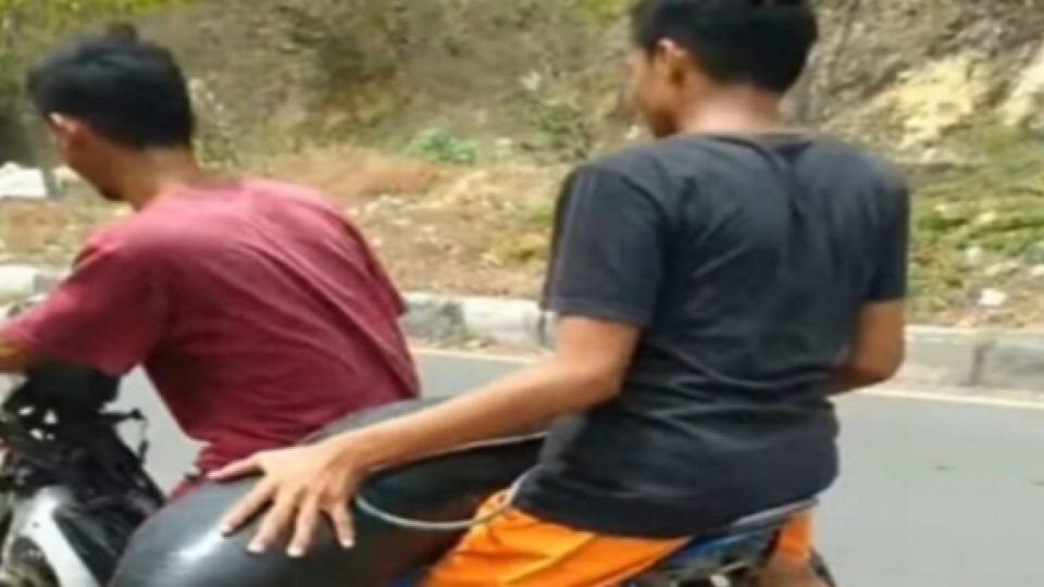 Terdampar, Paus Kepala Melon yang Termasuk Satwa Dilindungi, Dipotong Warga dan Dagingnya Dibagi-bagikan