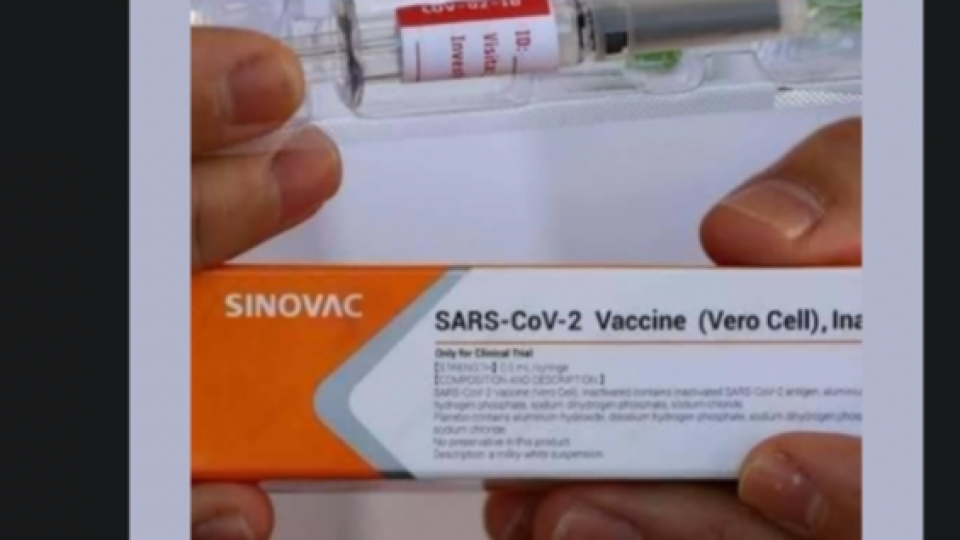 Hoaks Vaksin Sinovac 'Only for Clinical Trial' Akan Disuntikkan ke Masyarakat Dalam Vaksinasi COVID-19