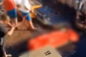 Kasus Pembuangan Jenazah ABK Indonesia ke Laut, Kemlu Akan Pulangkan 14 ABK Lainnya