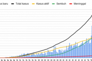 Lonjakan Kasus Infeksi COVID-19 di Indonesia Capai Rekor Tertinggi, Hingga 2.657 Dalam 24 Jam