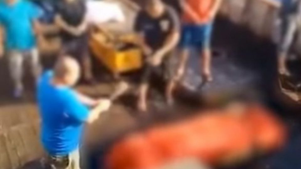 Kasus Pelarungan ABK: Pemerintah Laporkan Dugaan Eksploitasi ke Dewan HAM PBB