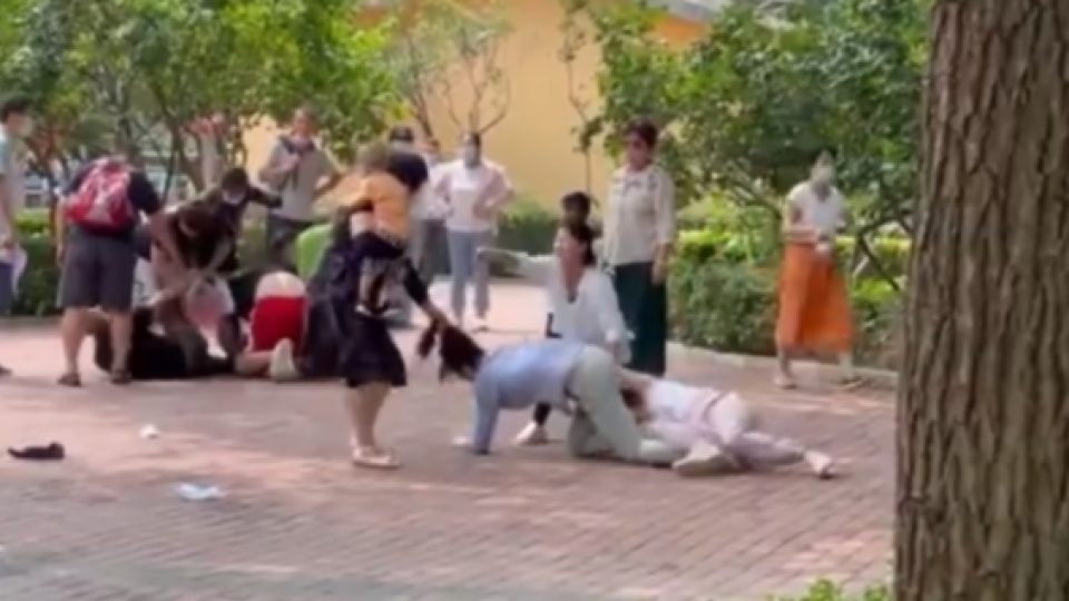 Tawuran Antar Pengunjung Kebun Binatang di China Viral Karena Hewan-hewan di Sana Meniru Aksi Tawuran Tersebut