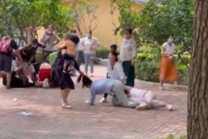 Tawuran Antar Pengunjung Kebun Binatang di China Viral Karena Hewan-hewan di Sana Meniru Aksi Tawuran Tersebut