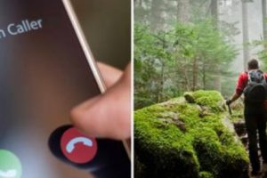 Seorang Hiker yang Tersesat di Gunung Abaikan Panggilan Telepon Tim SAR Karena Tidak Mengenali Nomornya