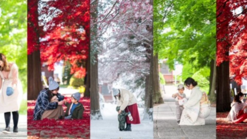 Fotografer Jepang Perlihatkan Keindahan Dari Setiap Musim Berbeda di Negeri Sakura