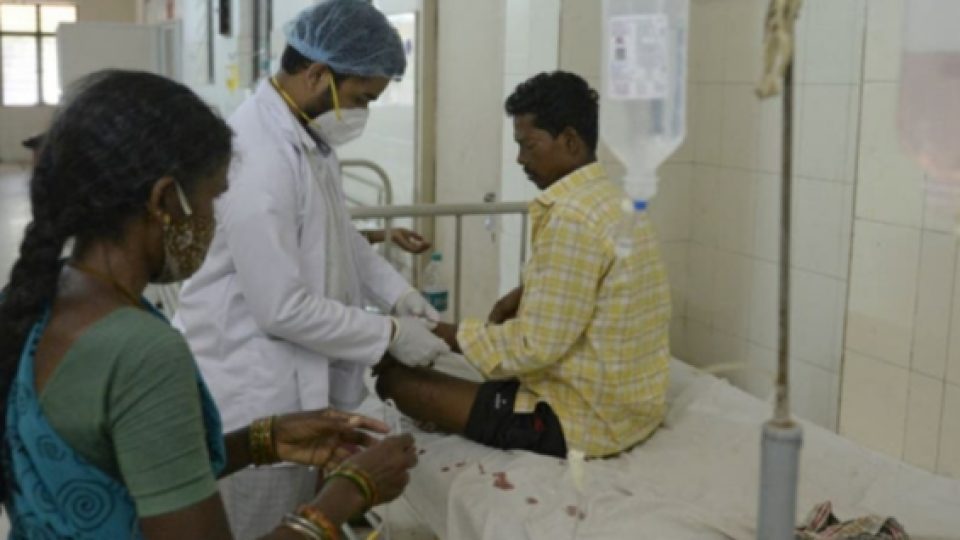 Setelah COVID-19, Jamur Hitam, Jamur Putih, Sekarang Ada Lagi Jamur Kuning di India