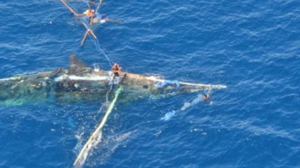 9 Orang Diperkirakan Tewas Dalam Insiden Terbaliknya Perahu Nelayan Indonesia di Perairan Australia