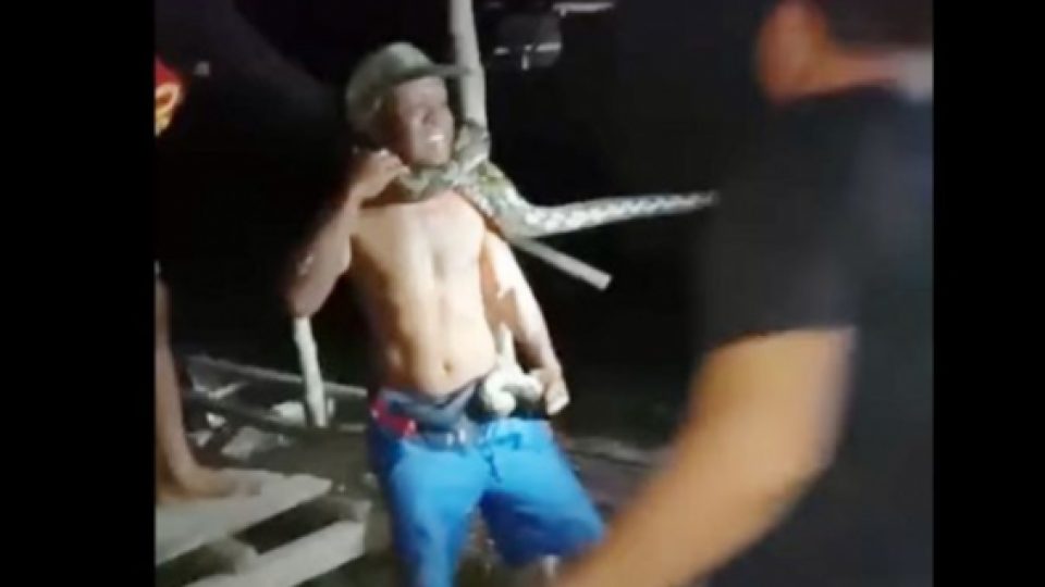 Percaya Diri Tangkap Ular Piton, Seorang Pria di Sulsel Terlilit Lehernya Hingga Nyaris Tewas