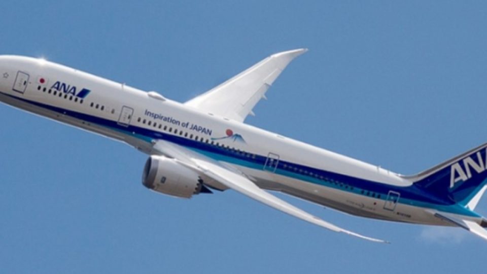 Krisis Garuda Indonesia: Penyakit Lama yang Berujung Pada Ironi