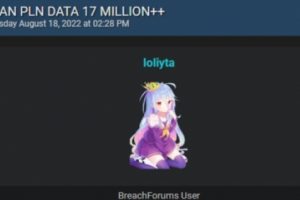 17 Juta Lebih Data Pelanggan PLN Diduga Bocor dan Dijual di Internet