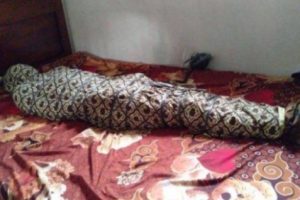 Kisah Predator Seksual 'Fetish Bungkus Kain Jarik' di Surabaya Bikin Heboh Netizen Indonesia