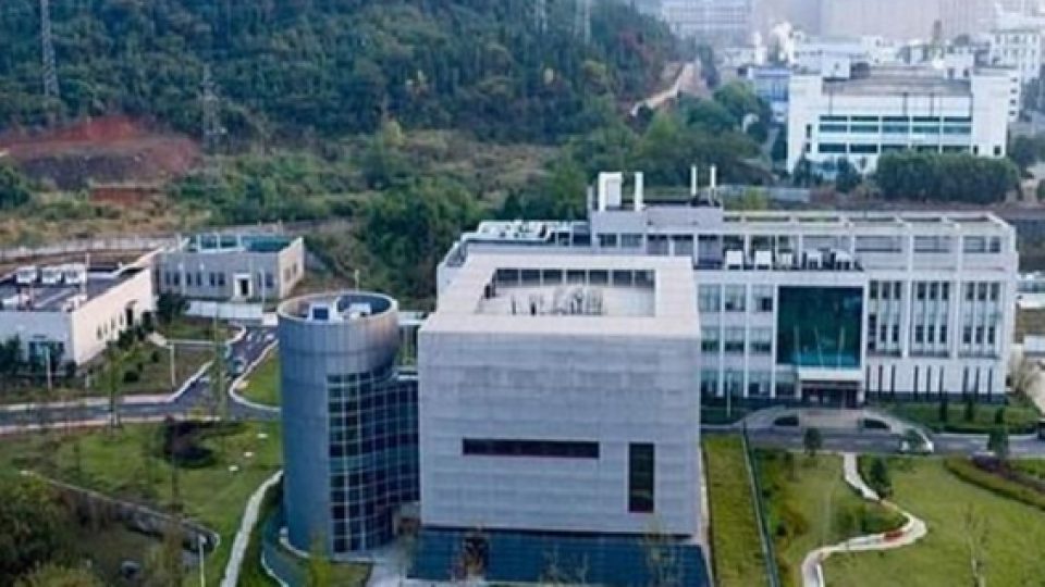 Bocoran Dokumen Menyebut Bahwa Amerika Serikat Danai Penelitian Virus Corona di Labolatorium Wuhan Sejak 2014 Silam