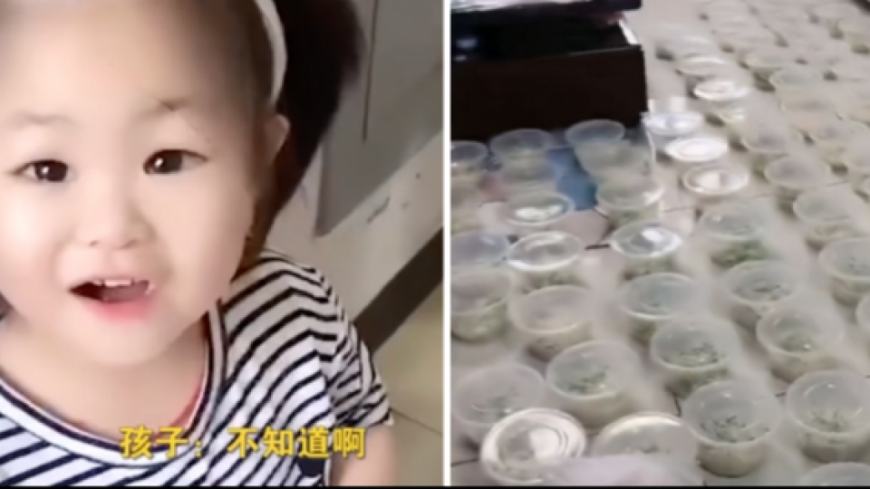 Gemesin Tapi Bikin Pusing! Seorang Gadis Cilik Berusia 4 Tahun Tak Sengaja Pesan 100 Porsi Mi Dengan Ponsel Ayahnya
