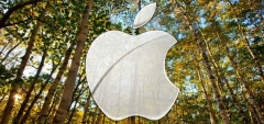 Strategi Apple Membeli Hutan Di Luar California