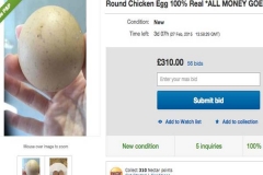 Telur Ayam Bulat Sempurna Ini Dijual Rp. 1 Miliar di Ebay